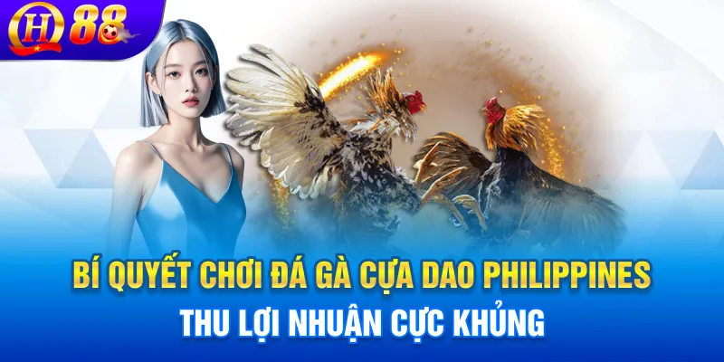Bí quyết chơi đá gà cựa dao Philippines hiệu quả