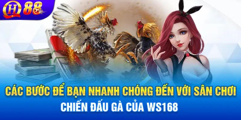 Các bước để bạn nhanh chóng đến với sân chơi chiến đấu gà của WS168