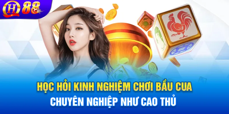 Học hỏi kinh nghiệm chơi bầu cua chuyên nghiệp như cao thủ