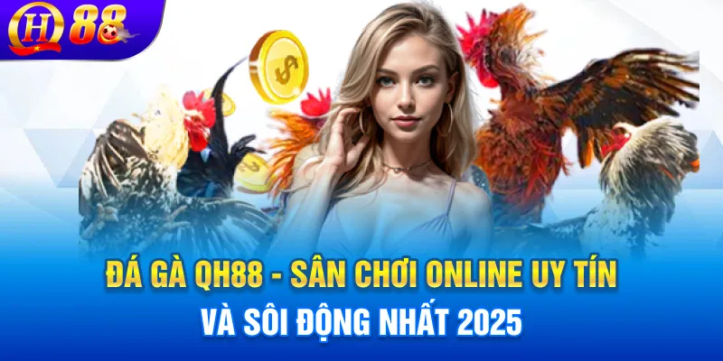 Đá gà qh88 - Đấu trường sôi động