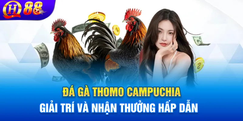 Đấu trường Thomo đỉnh cao