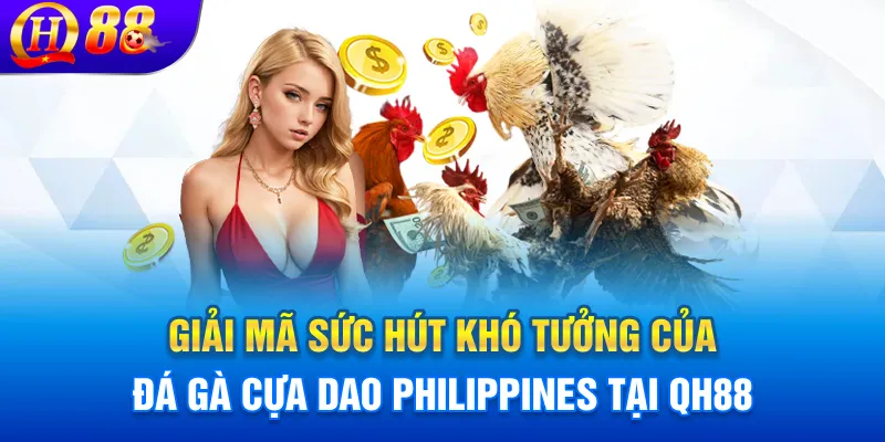 Giải mã sức hút khó tưởng của đá gà cựa dao Philippines tại QH88