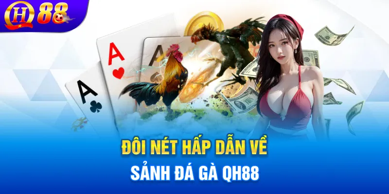 Đôi nét hấp dẫn về sảnh đá gà QH88