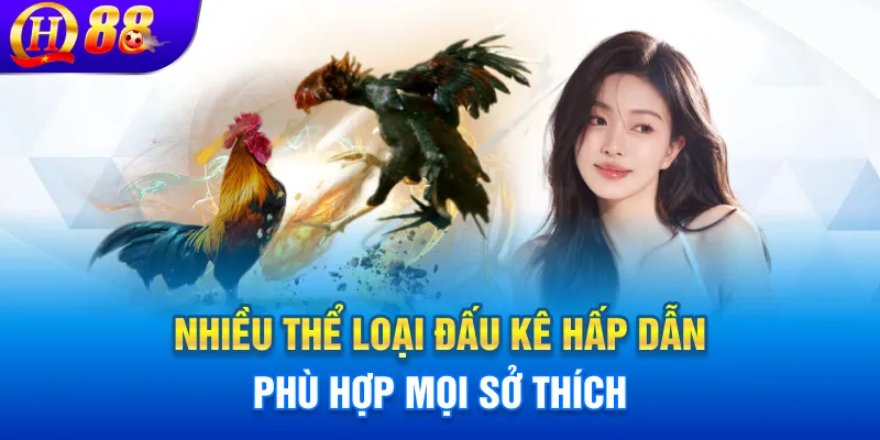 Nhiều thể loại đấu kê hấp dẫn phù hợp mọi sở thích