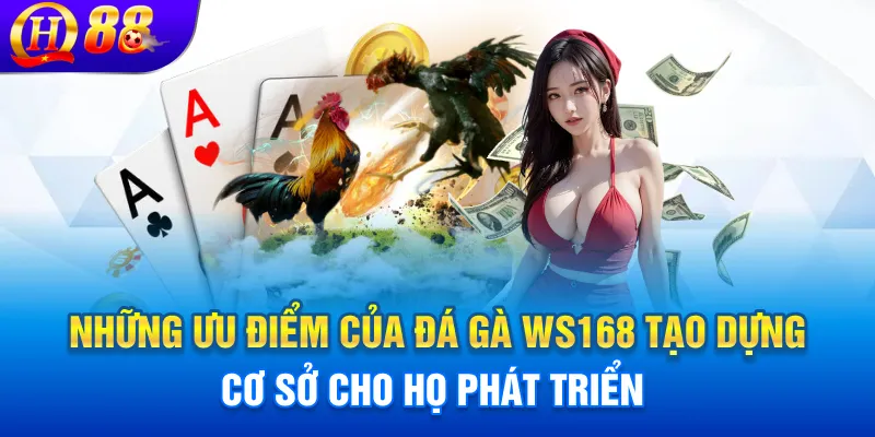 Những ưu điểm của đá gà WS168 tạo dựng cơ sở cho họ phát triển