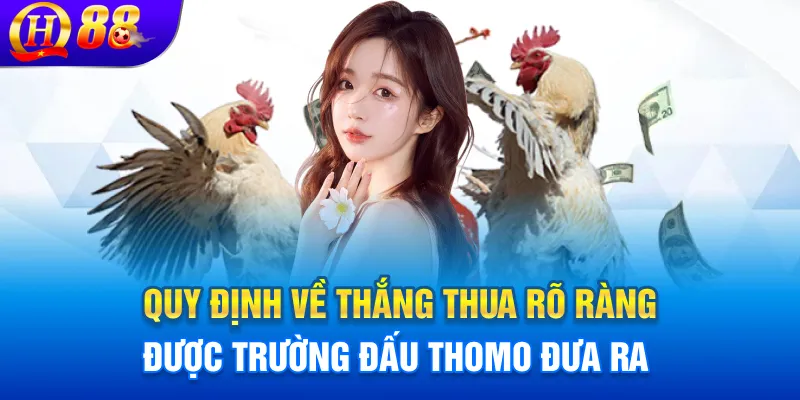 Quy định về thắng thua rõ ràng được trường đấu thomo đưa ra
